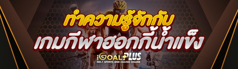 ทำความรู้จักกับ เกมกีฬาฮอกกี้น้ำแข็ง