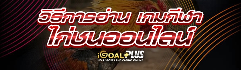 วิธีการอ่าน เกมกีฬาไก่ชนออนไลน์