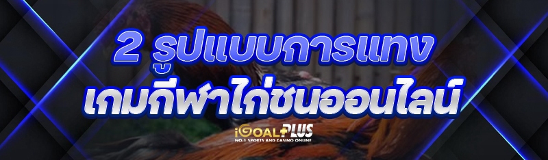 2 รูปแบบการแทง เกมกีฬาไก่ชนออนไลน์