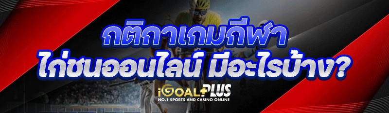 กติกาเกมกีฬา ไก่ชนออนไลน์ มีอะไรบ้าง?