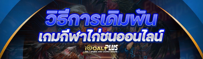 วิธีการเดิมพัน เกมกีฬาไก่ชนออนไลน์