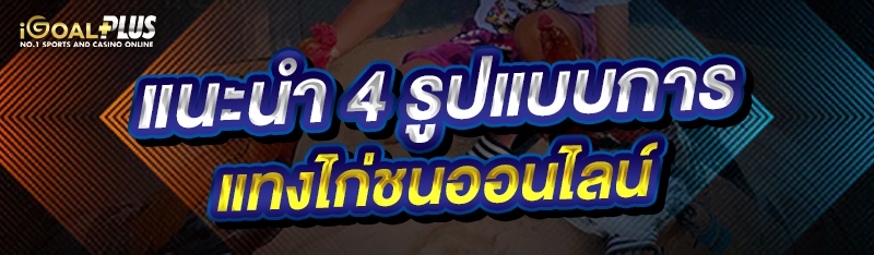 แนะนำ 4 รูปแบบการ แทงไก่ชนออนไลน์