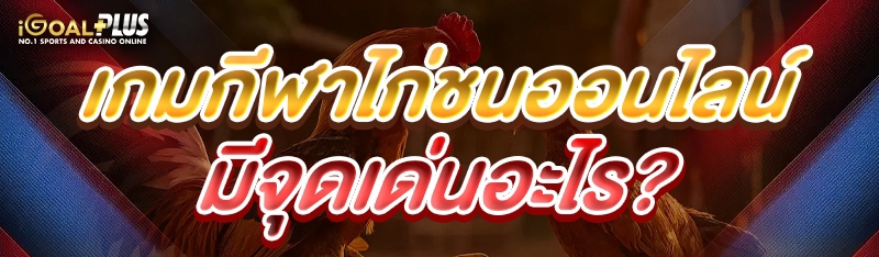 เกมกีฬาไก่ชนออนไลน์ มีจุดเด่นอะไร?